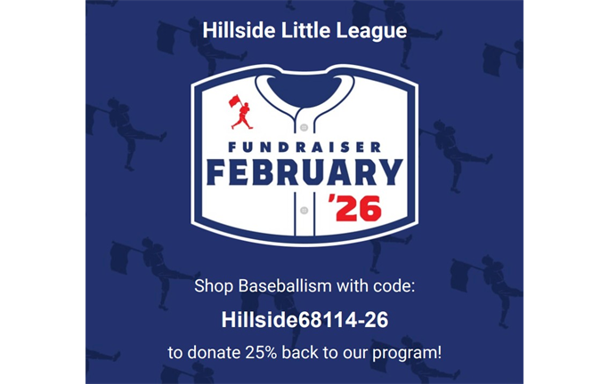 Shop Baseballism - Support Hillside!